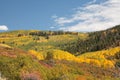 Colorado Autumn Scenery