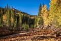 Red Mountain Creek at Sunrise - Autumn in the San Juan Mountains of Colorado Royalty Free Stock Photo