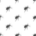 Colorado beetle, a coleopterous insect.Colorado, a harmful insect single icon in black style vector symbol stock