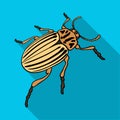 Colorado beetle, a coleopterous insect.Colorado, a harmful insect single icon in flat style vector symbol stock