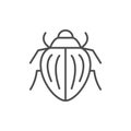 Colorado beetle line outline icon