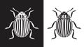 Colorado beetle logo. Isolated colorado beetle on white background