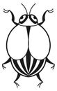Colorado beetle. Potato pest. Farm damage insect