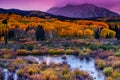 A Colorado Fall Along Kebler Pass Royalty Free Stock Photo