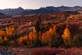 Colorado fall colors in the San Juan Mountains