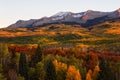 Colorado fall colors in Kebler Pass near Crested Butte Royalty Free Stock Photo