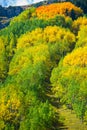 Colorado Fall Foliage Conundrum Hot Springs Trail Royalty Free Stock Photo