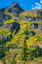 Colorado Fall Foliage Conundrum Hot Springs Trail Royalty Free Stock Photo