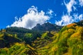 Colorado Fall Foliage Conundrum Hot Springs Trail Royalty Free Stock Photo