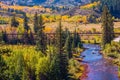 Colorado Fall Foliage