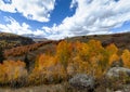 Colorado Fall Landscape With Aspens & Mountains Royalty Free Stock Photo