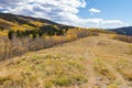 Colorado fall mountain landscape with dirt path climbing into a golden aspen forest Royalty Free Stock Photo