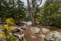 Colorado fall season at Bear Lake in Rocky Mountain National Park Royalty Free Stock Photo