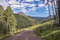 Colorado forest road in the San Juan mountains