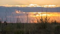 Colorado Great Plains