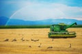 Colorado Harvesting