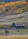 Colorado Horse Ranch