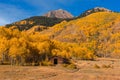 Colorado Log Cabin With Yellow Autumn Trees and Mountains Royalty Free Stock Photo