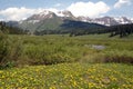 Colorado Meadow & Mountain Royalty Free Stock Photo