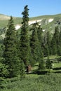 Mountain Outhouse