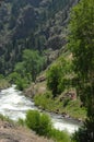 Colorado Mountain Stream 1 Royalty Free Stock Photo