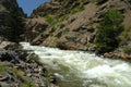 Colorado Mountain Stream 23 Royalty Free Stock Photo
