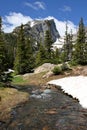 Colorado Mountain Stream