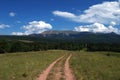 Colorado Mountain Trail