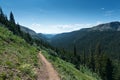 Colorado Mountain Trail Royalty Free Stock Photo