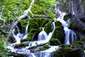 Colorado mountain waterfall with lots of fresh green scenery