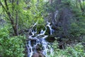 Colorado mountain waterfall with lots of fresh green scenery