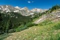 Colorado Mountain Wildflower Landscape Royalty Free Stock Photo