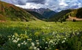 Colorado Mountains and flowers Royalty Free Stock Photo