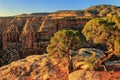 Colorado National Monument, Grand Junction, USA Royalty Free Stock Photo
