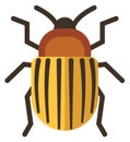 Colorado potato beetle icon. Striped yellow pest
