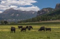 Colorado Ranch with San Juan Mountains Backdrop