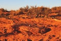 Colorado River Horseshoe Bend cliff edge, Page, Arizona Royalty Free Stock Photo