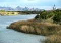 Colorado River shoreline at Needles, California Royalty Free Stock Photo
