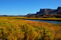Colorado River Wetlands Royalty Free Stock Photo