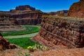 The Colorado Riverbed, overgrown with green vegetation. Canyonlands National Park is in Utah near Moab, US