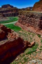 The Colorado Riverbed, overgrown with green vegetation. Canyonlands National Park is in Utah near Moab, US