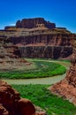 The Colorado Riverbed, overgrown with green vegetation. Canyonlands National Park is in Utah near Moab, US