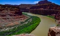 Colorado Riverbed, overgrown with green vegetation