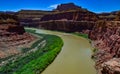 Colorado Riverbed, overgrown with green vegetation