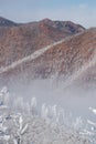 Colorado rockies frozen snow winter landscape Royalty Free Stock Photo