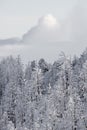 Colorado rockies frozen snow winter landscape Royalty Free Stock Photo