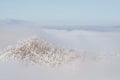Colorado rockies frozen snow winter landscape Royalty Free Stock Photo