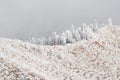 Colorado rockies frozen snow winter landscape Royalty Free Stock Photo