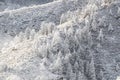 Colorado rockies frozen snow winter landscape Royalty Free Stock Photo