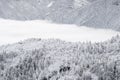 Colorado rockies frozen snow winter landscape Royalty Free Stock Photo